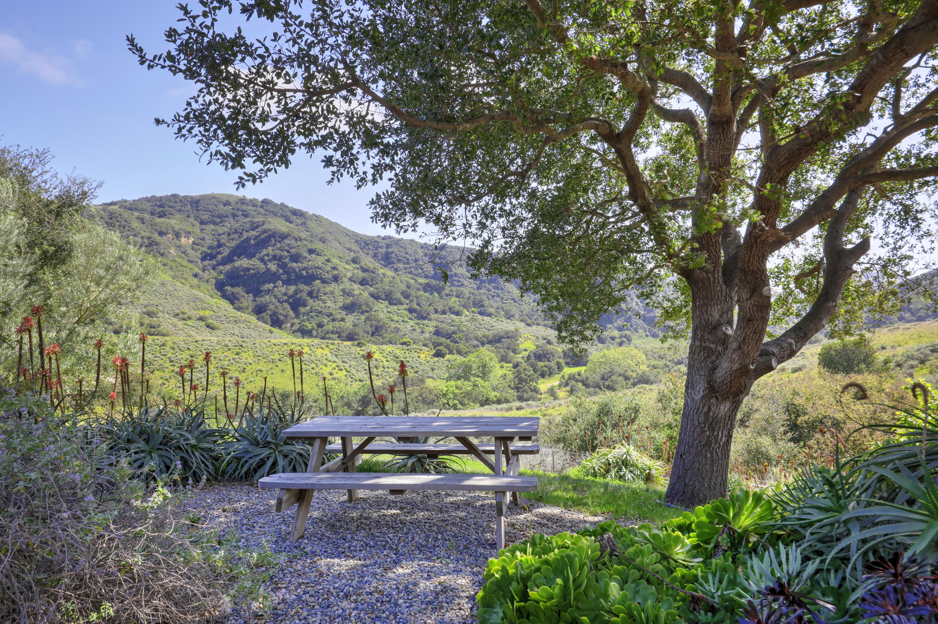 132 Hollister Ranch Road Goleta, CA 93117 - Photo 30 of 35 shaded areas