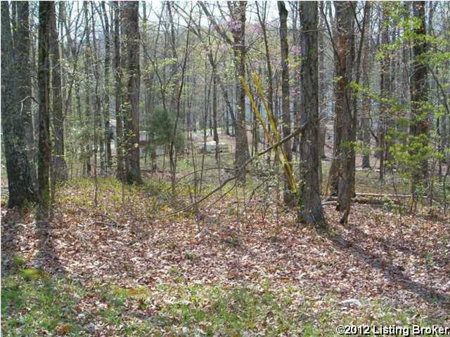 300 Wilderness Road Mammoth Cave, KY 42259 - Photo 1 of 4 Primary Photo