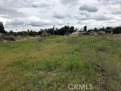 a view of a garden with an trees
