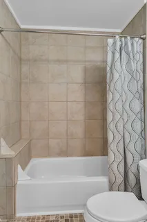 a bathroom with a toilet and a bathtub