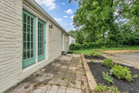 a view of backyard with potted plants