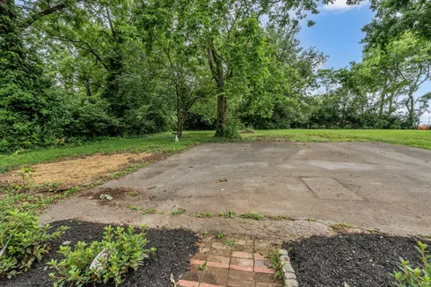 a view of a yard with a large trees