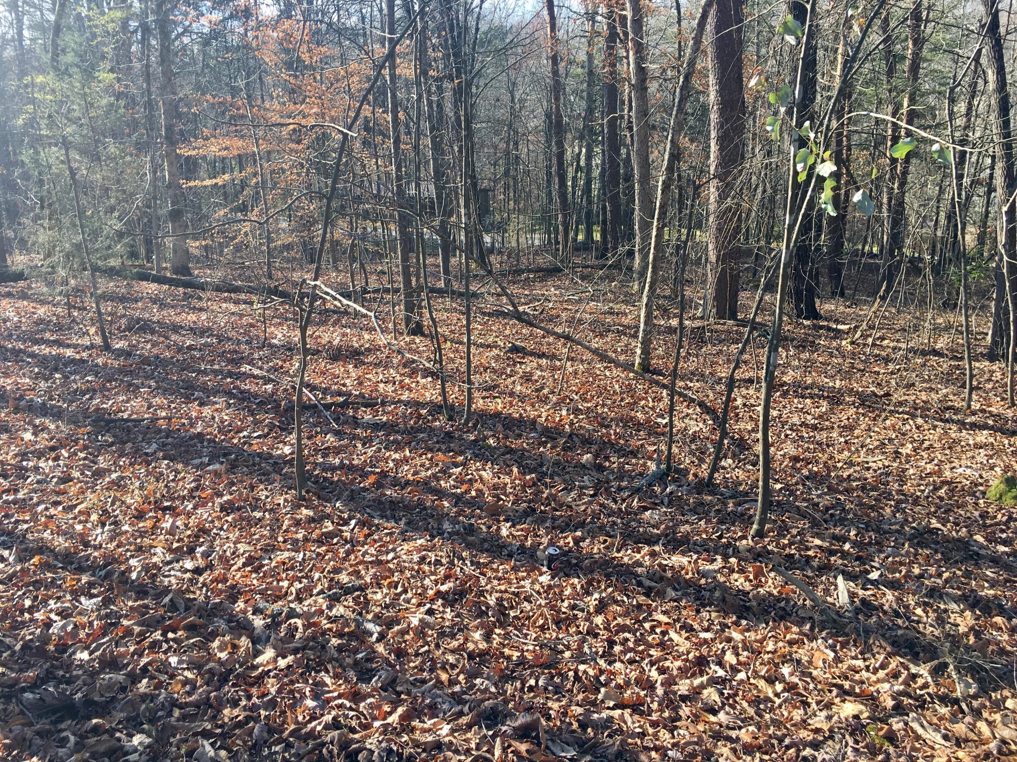 0 Wilderness Road Friendsville, TN 37737 - Photo 3 of 6 Gallery Image 3