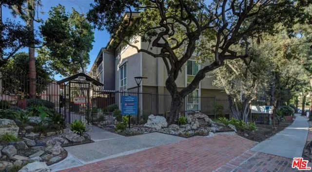 a view of bushes and pathway