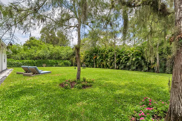a view of a backyard with large trees