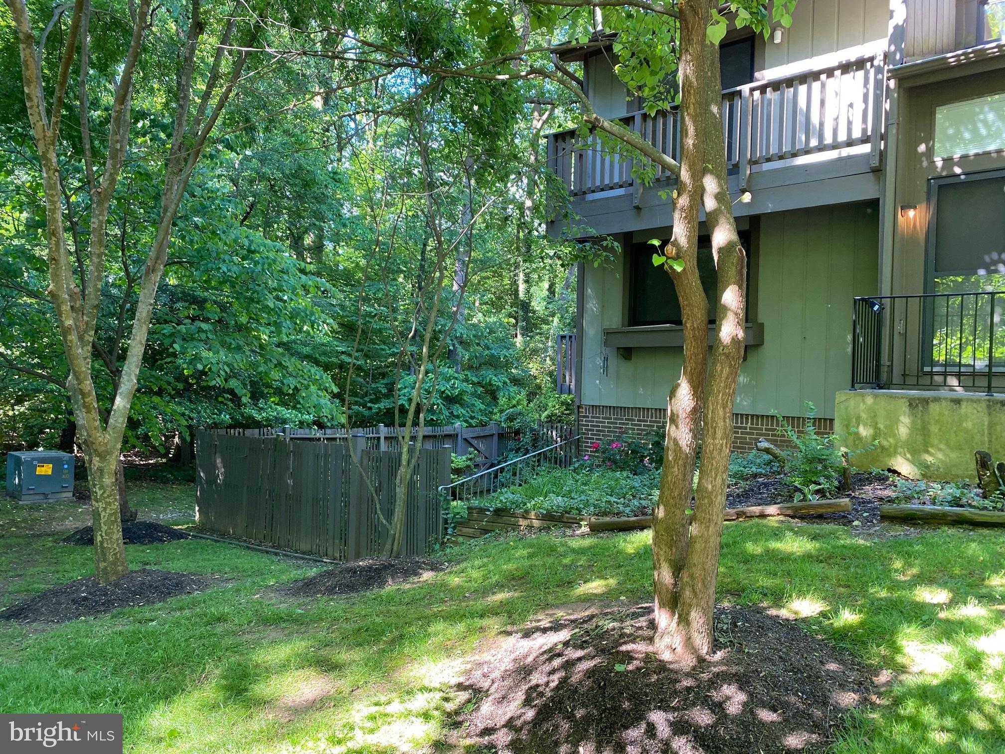 Back  Yard