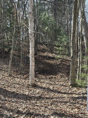 5 V Red Gap Road Wilbraham, MA 01095 - Photo 23 of 23