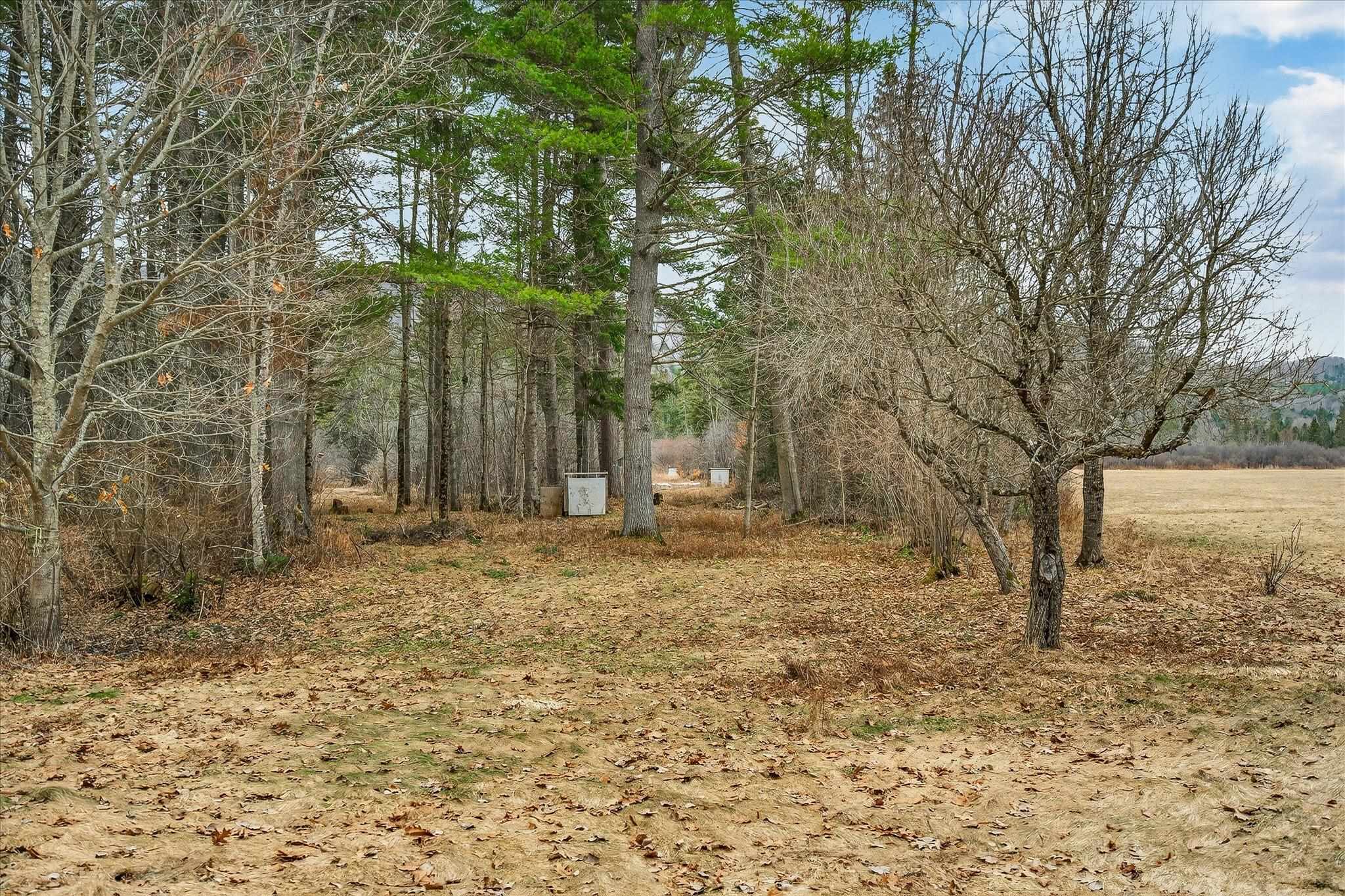 1343 Chelsea Road Corinth, VT 05039 - Photo 49 of 51
