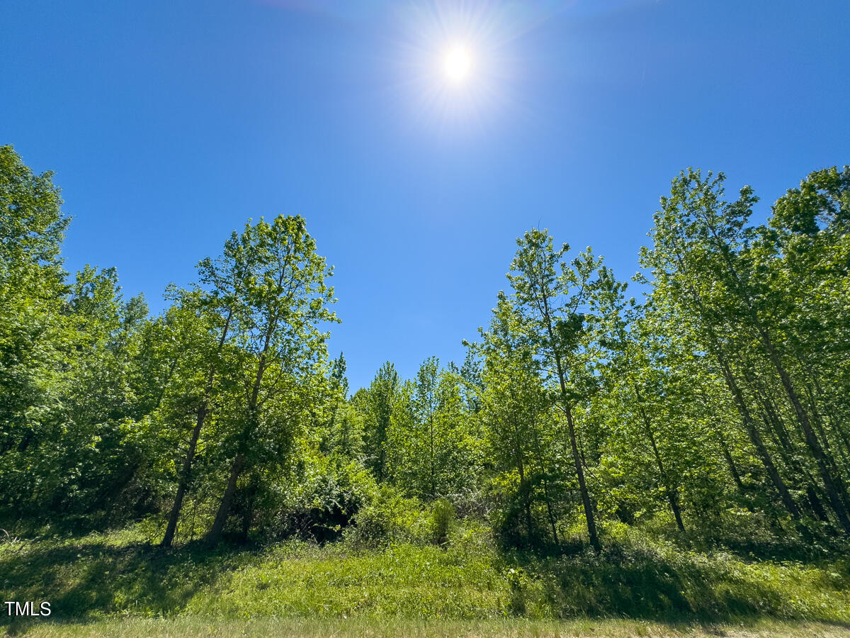 Lot-1-00 Wilson Road Providence, NC 27315 - Photo 36 of 43 Caswell Co. NC -Wilsons Ridge-Lot 1-35