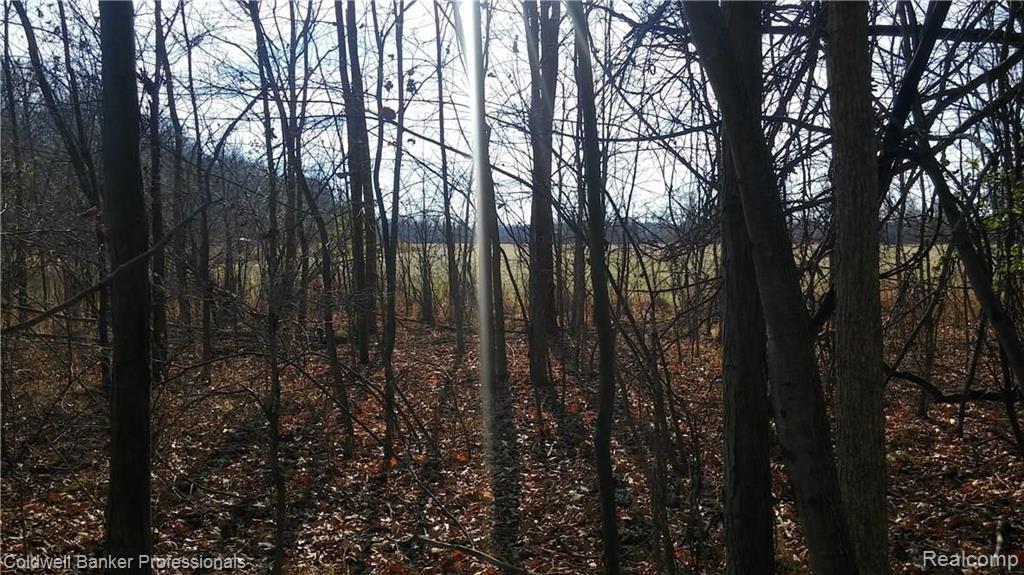 Eight West Eight Mile Road South Lyon, MI 48178 - Photo 22 of 58