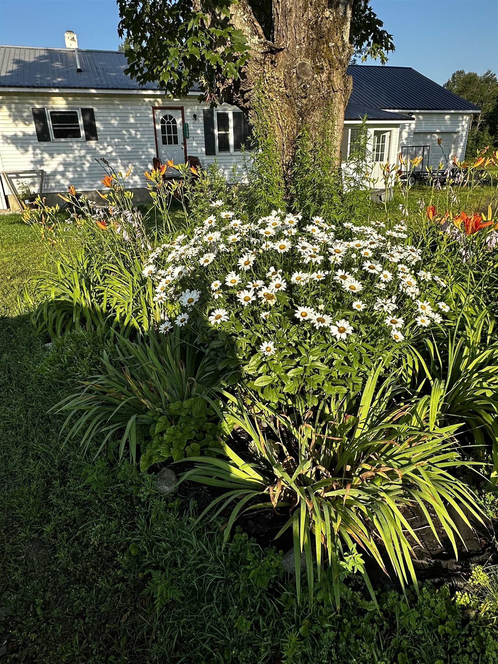 1135 Falls Bridge Road Williamstown, VT 05679 - Photo 54 of 57
