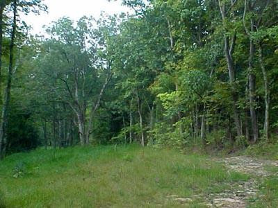 0 Hwy 330 Road, Unit 4 Corinth, KY 41010 - Photo 4 of 5