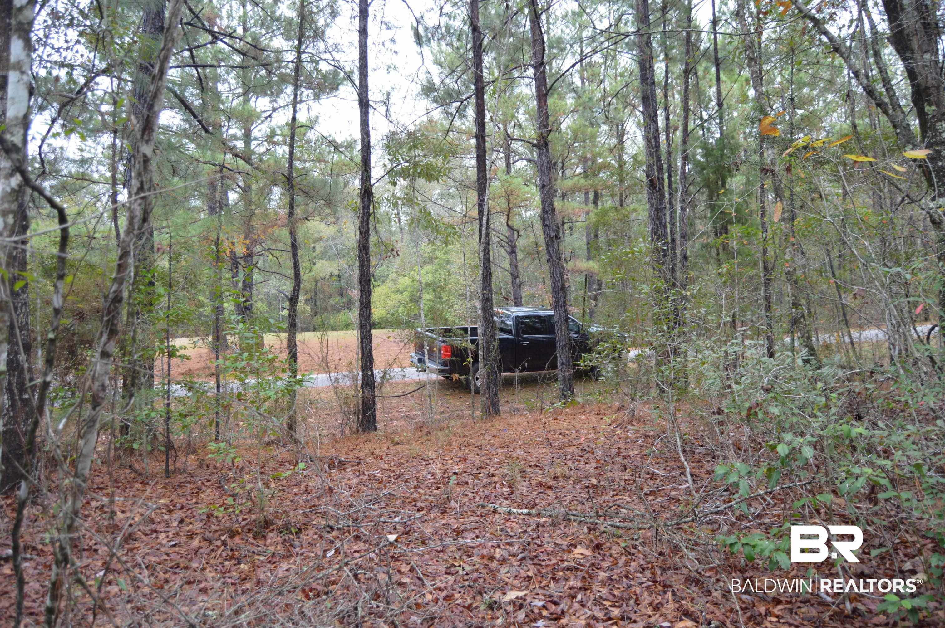 14 Marlin Street Stockton, AL 36579 - Photo 23 of 23 View of yard featuring a wooded view