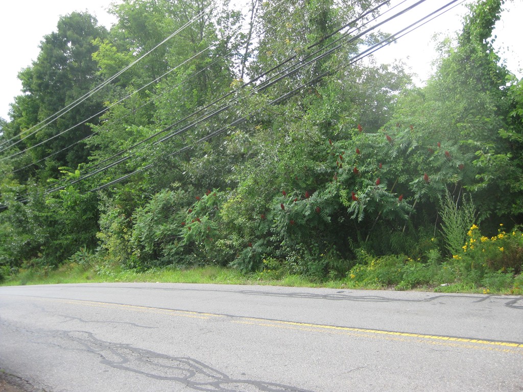 Lot 2 Manning Road Billerica, MA 01821 - Photo 1 of 1 Gallery Image 1
