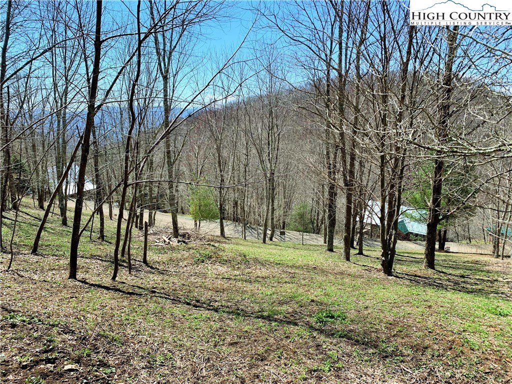 Lot 41 Silverleaf Road Zionville, NC 28698 - Photo 8 of 8 Gallery Image 8