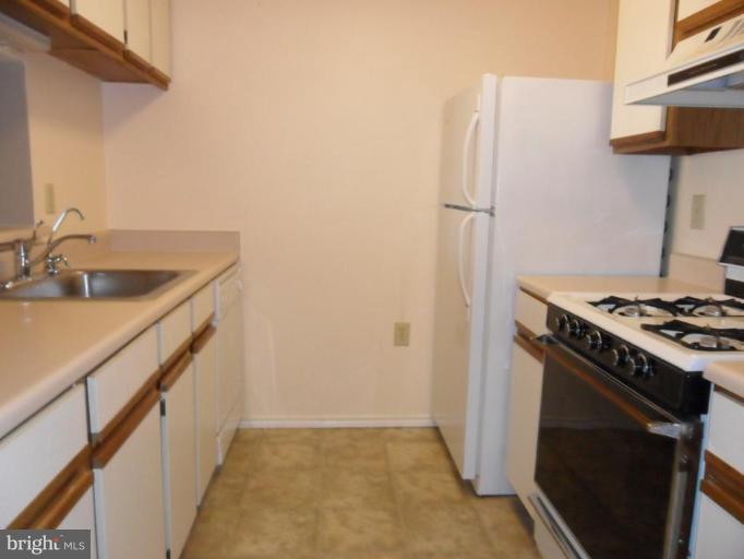 21013 Timber Ridge Terrace, Unit 301 Ashburn, VA 20147 - Photo 3 of 9 Kitchen