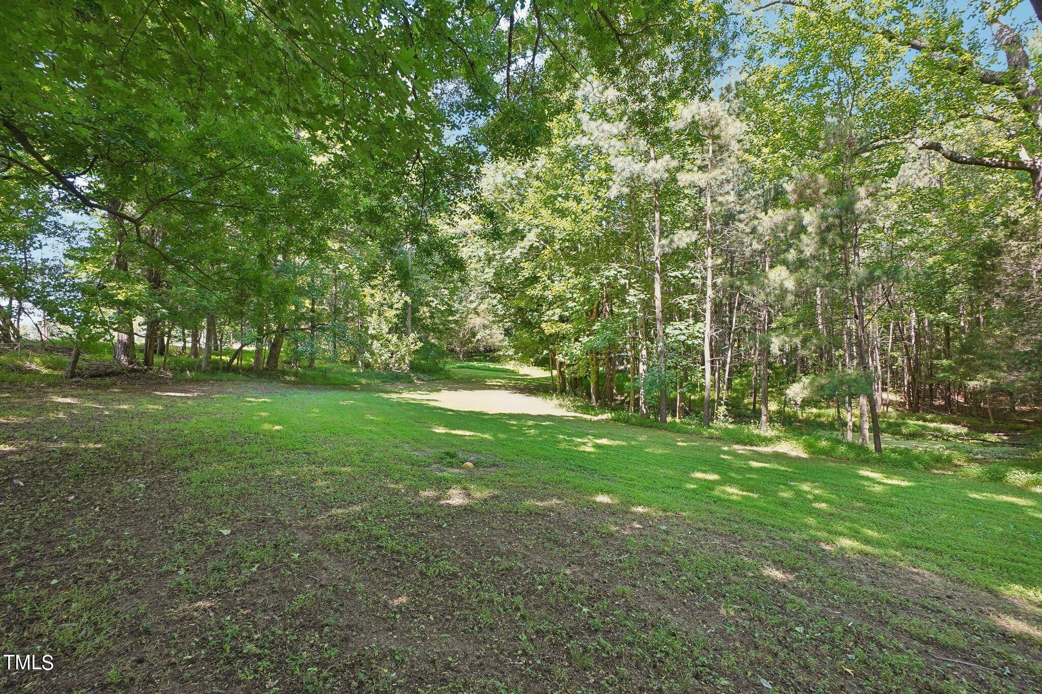 425 Kittrell Road Kittrell, NC 27544 - Photo 57 of 69 Clearing behind houses
