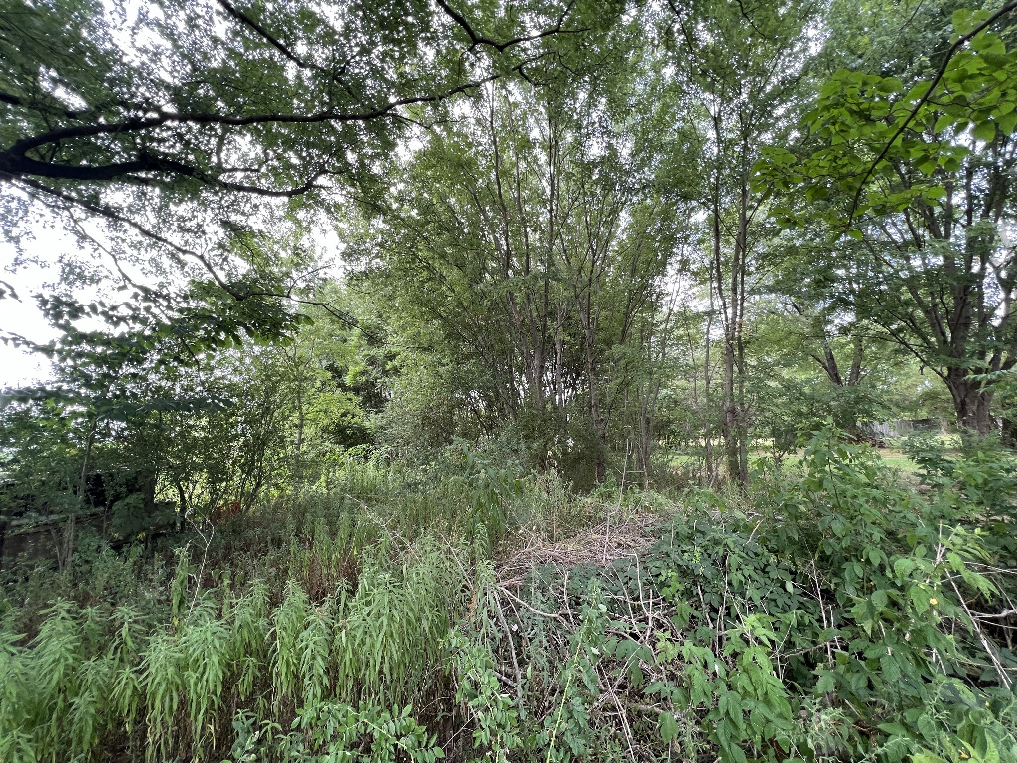 3895 Red Boiling Springs Road Lafayette, TN 37083 - Photo 11 of 47