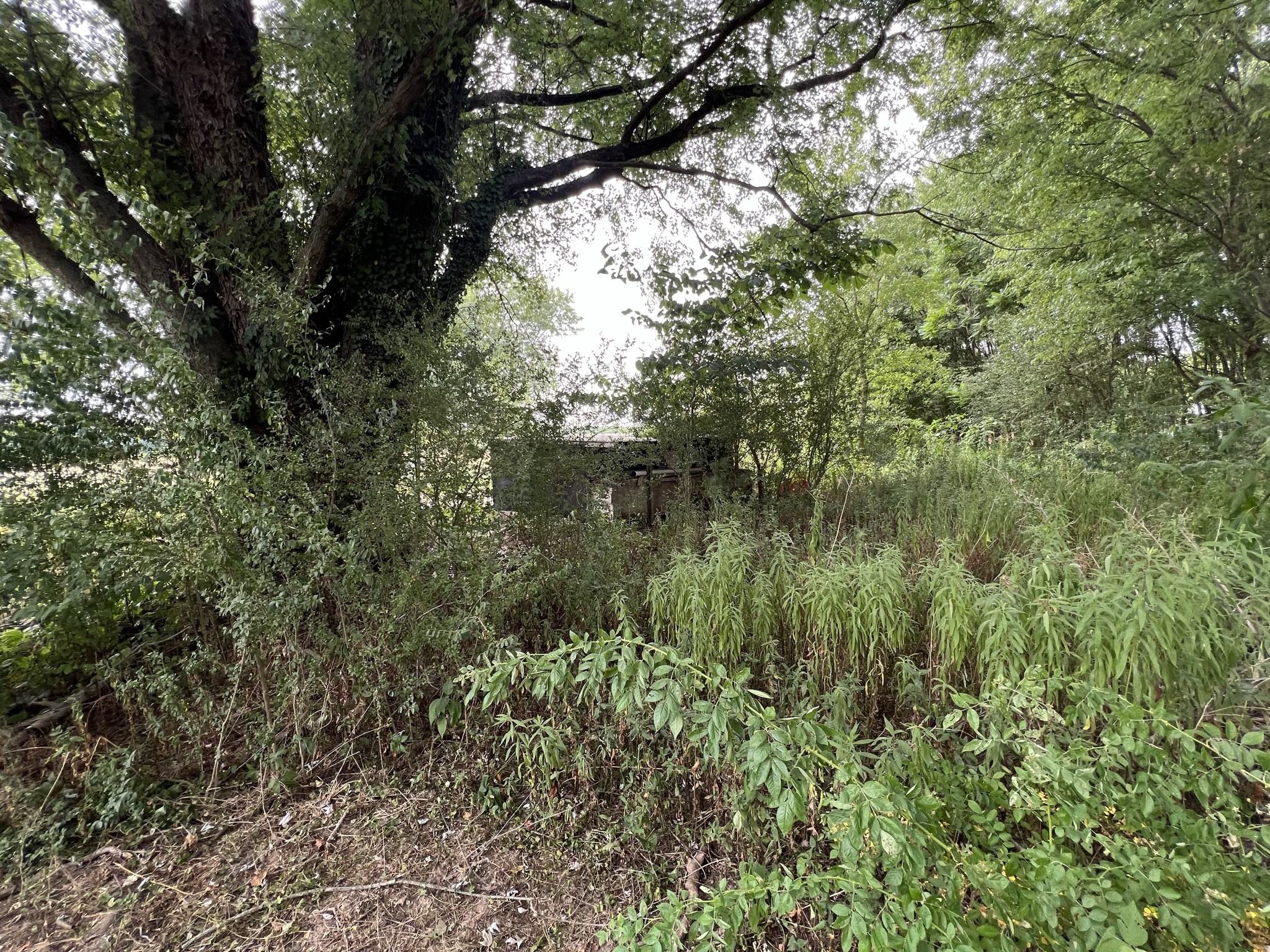 3895 Red Boiling Springs Road Lafayette, TN 37083 - Photo 12 of 47