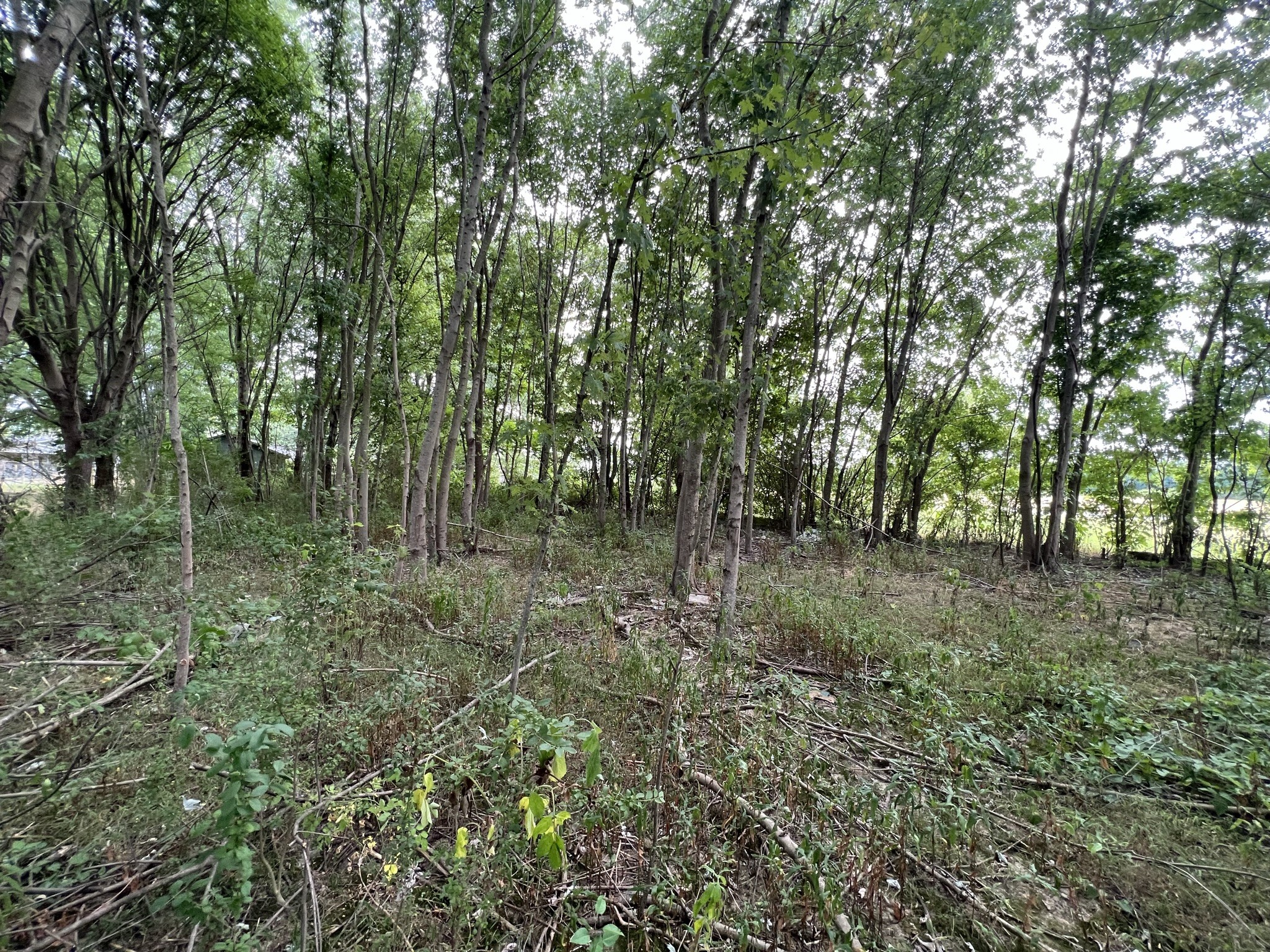 3895 Red Boiling Springs Road Lafayette, TN 37083 - Photo 5 of 47