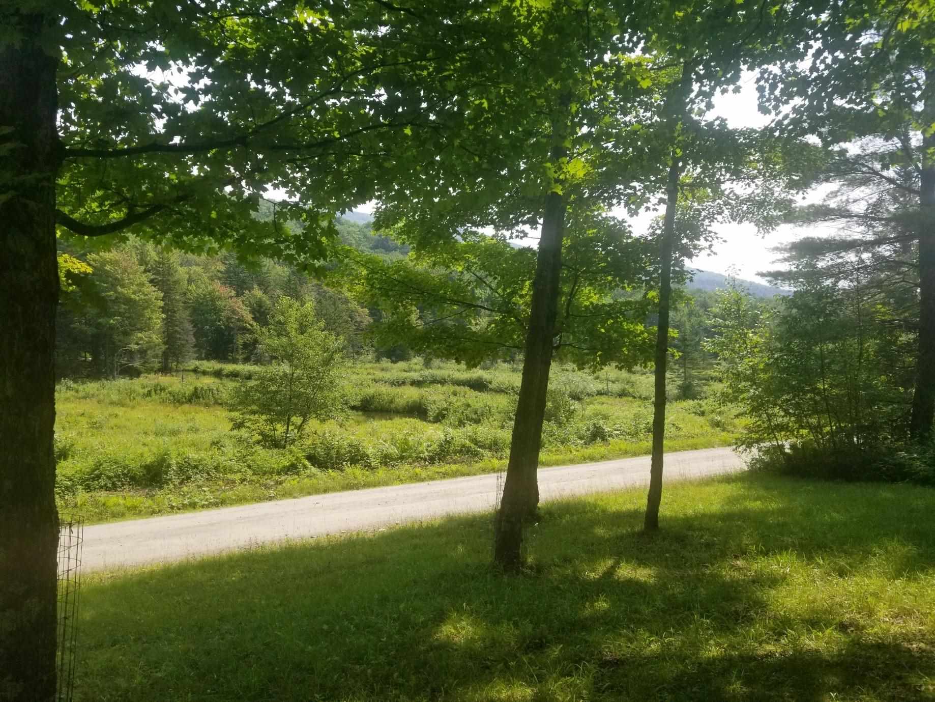 2201 Codding Hollow Road Johnson, VT 05656 - Photo 4 of 5