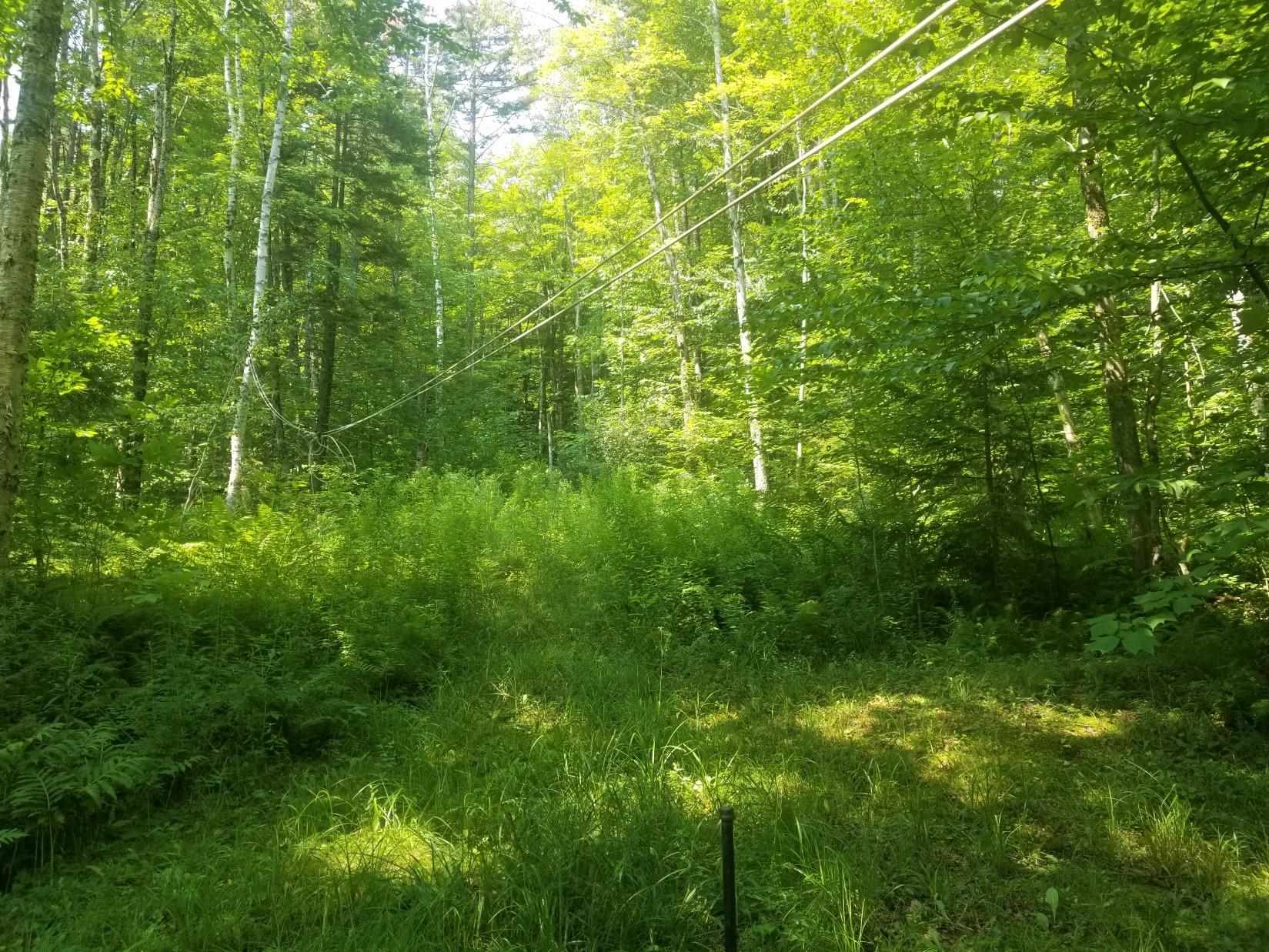 2201 Codding Hollow Road Johnson, VT 05656 - Photo 5 of 5
