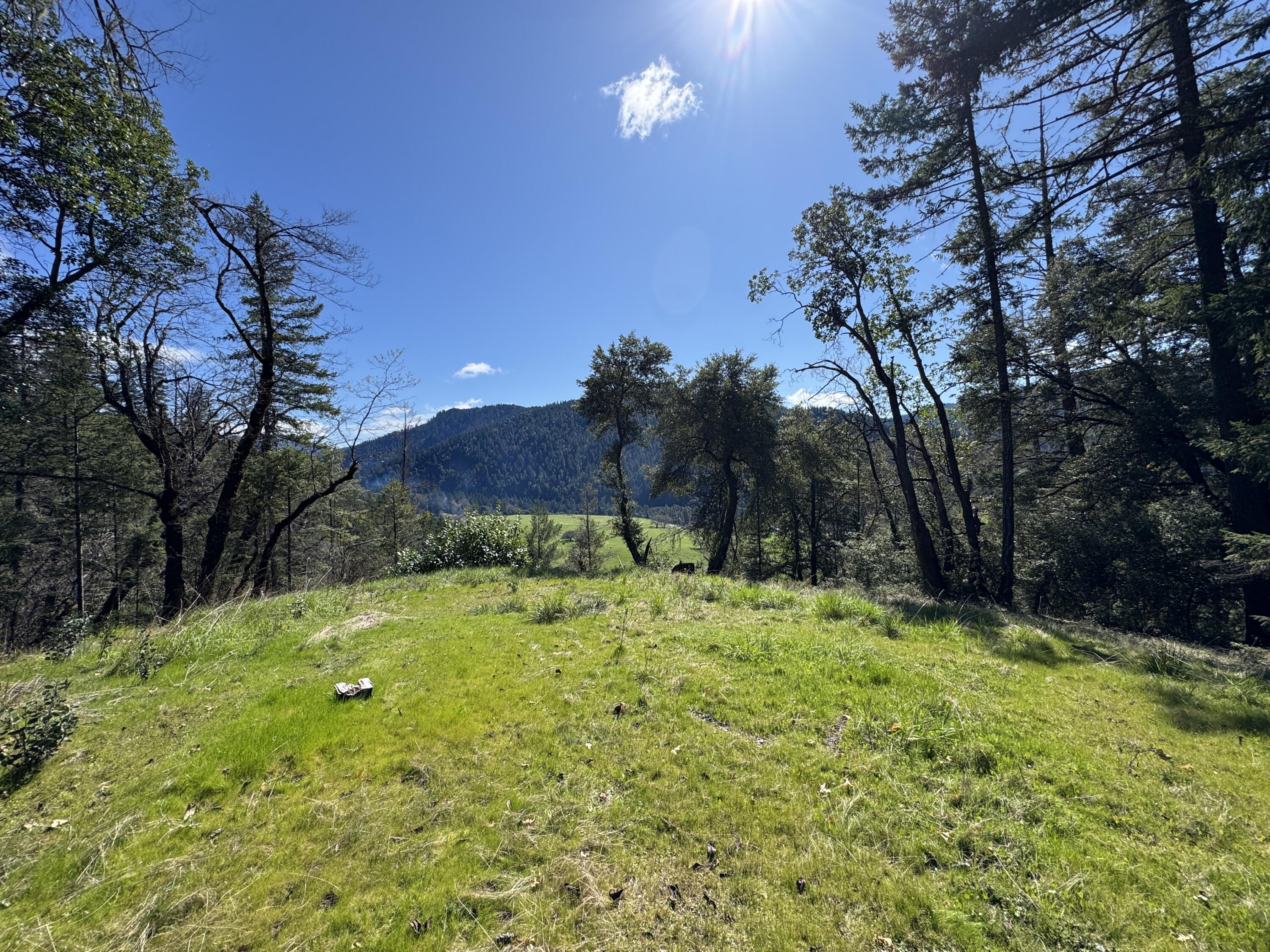 1330 Salyer Loop Road Salyer, CA 95563 - Photo 1 of 26