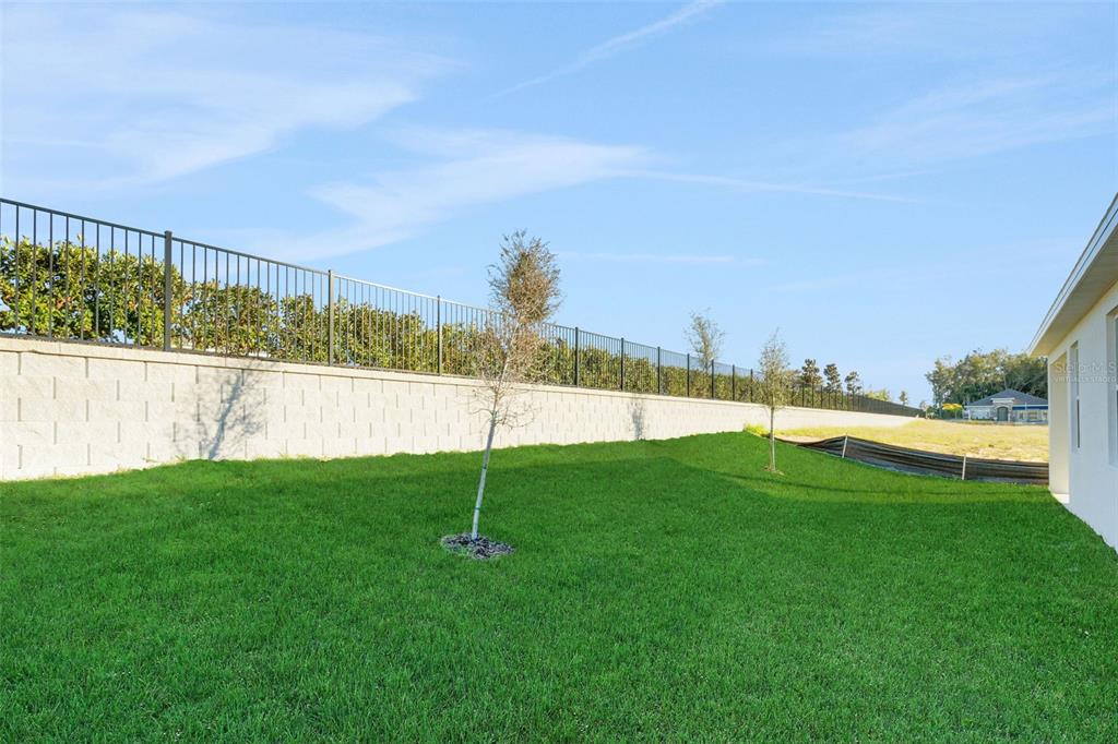 2824 Doolittle Street Tavares, FL 32778 - Photo 5 of 32 a view of a garden and basketball court