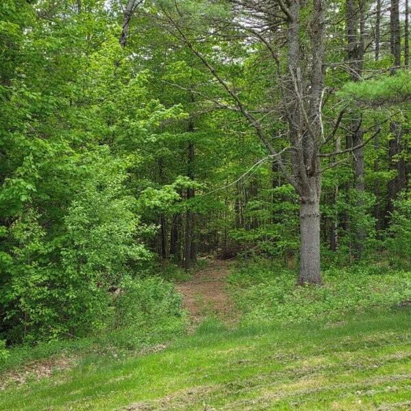 515 Dodlin Road Enfield, ME 04493 - Photo 56 of 74 515 Dodlin Road
