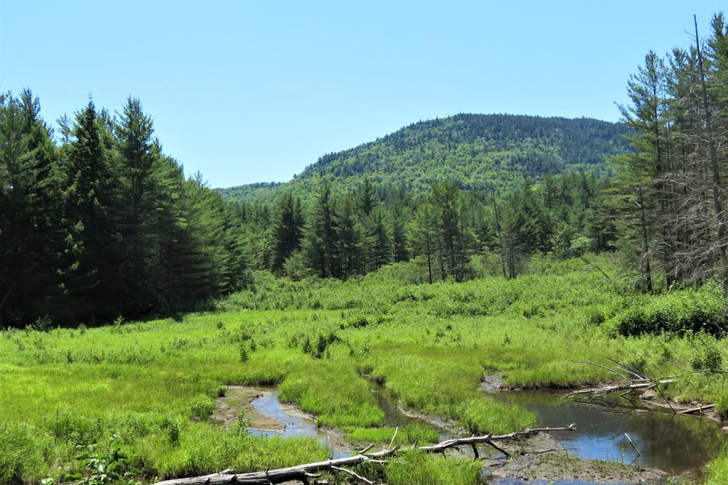 407 Upper Jay-Trumbulls Corners Road Jay, NY 12941 - Photo 23 of 25