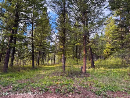 $98,000 | Lot 83 Oak Drive, Star Valley Ranch, WY 83127