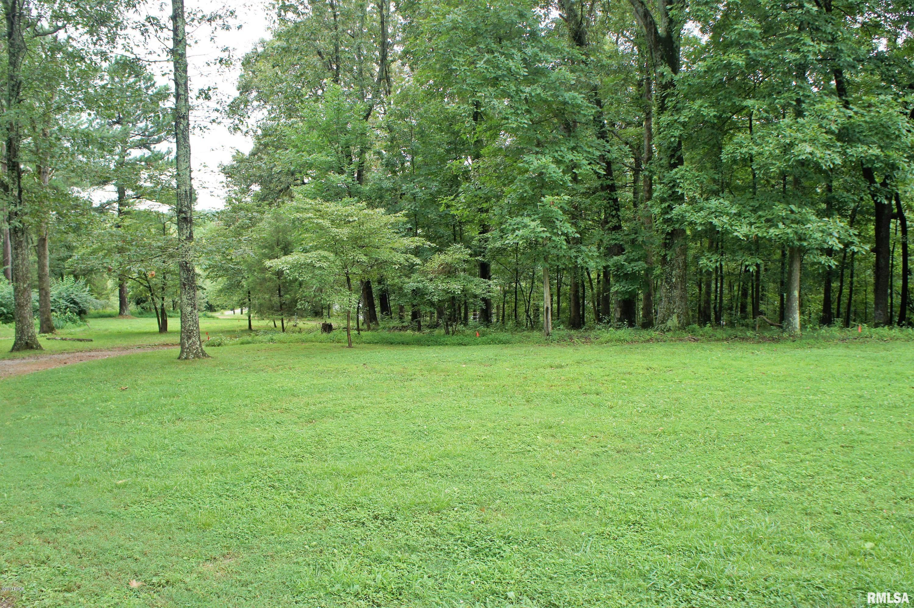 4320 Mann Lake Road Metropolis, IL 62960 - Photo 11 of 25
