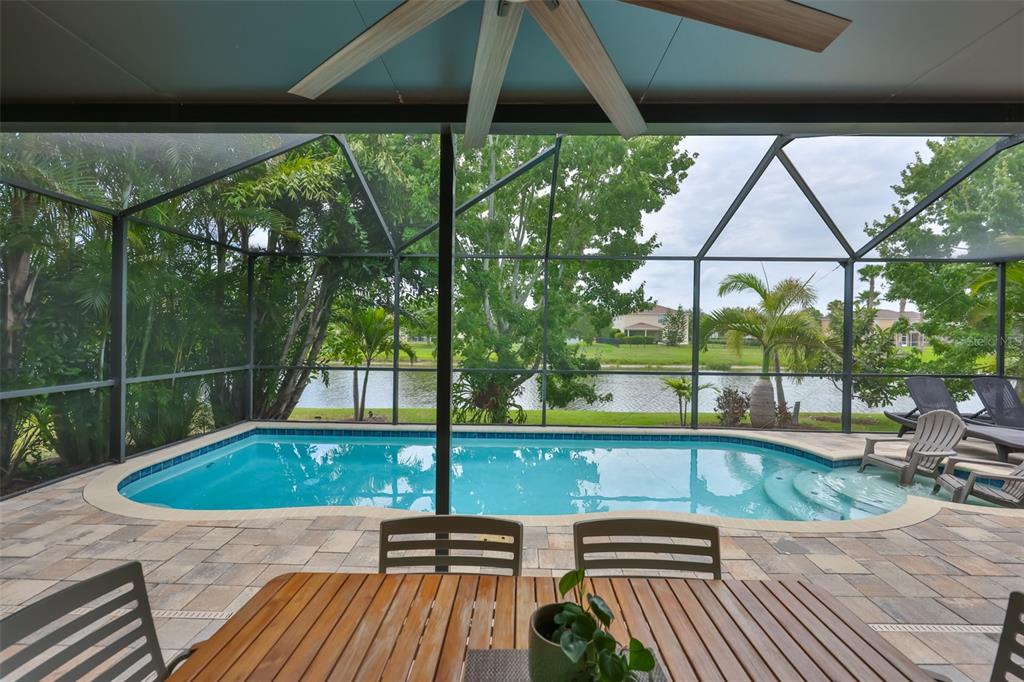 5305 Moon Shell Drive Apollo Beach, FL 33572 - Photo 38 of 62