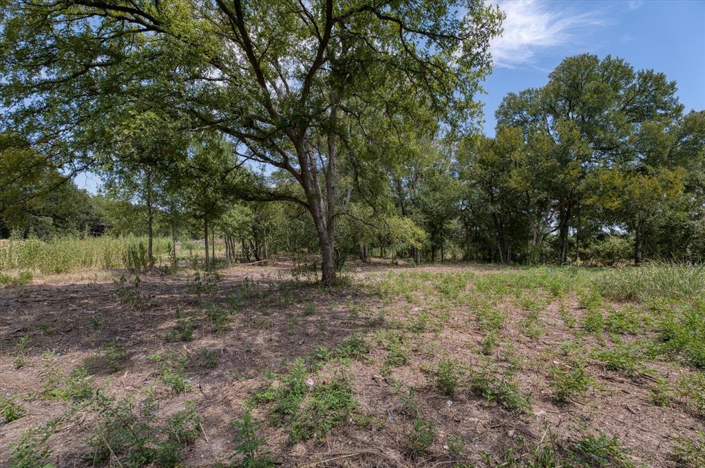 Tbd000 Williams Road Waco, TX 76705 - Photo 10 of 15 Expansive wooded acreage featuring mature trees and natural terrain