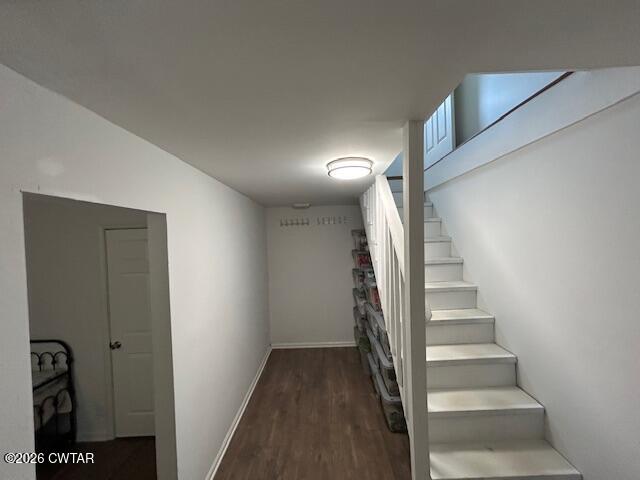 1020 Diggs Road Paris, TN 38242 - Photo 56 of 59 B- Stairwell2