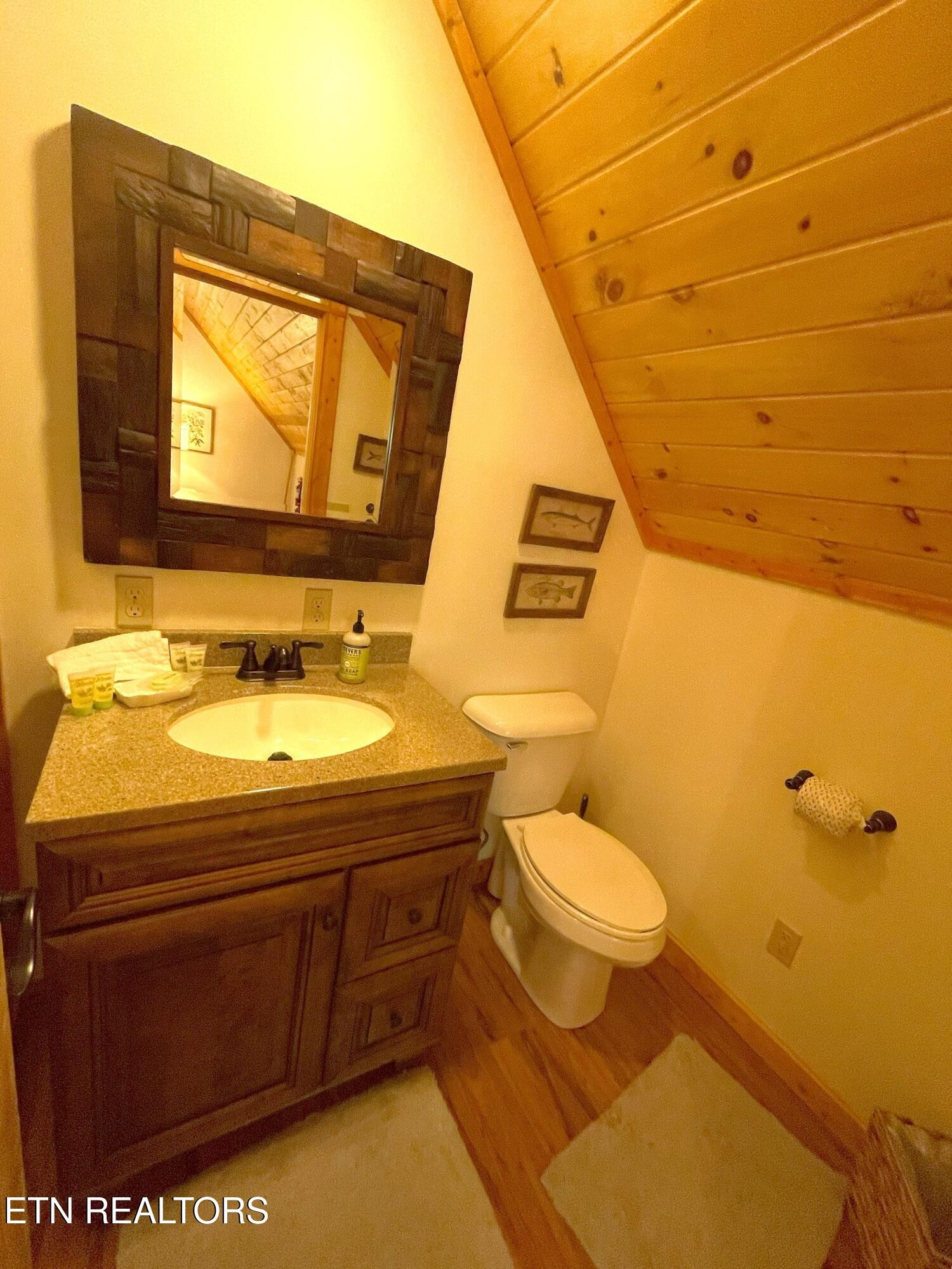 625 Bluff View Road New Tazewell, TN 37825 - Photo 15 of 57 a bathroom with a sink toilet and mirror