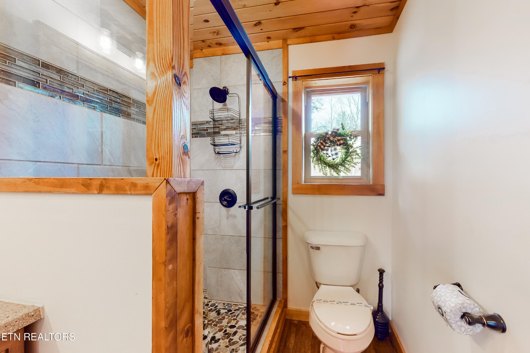 625 Bluff View Road New Tazewell, TN 37825 - Photo 22 of 57 a bathroom with a toilet and a shower