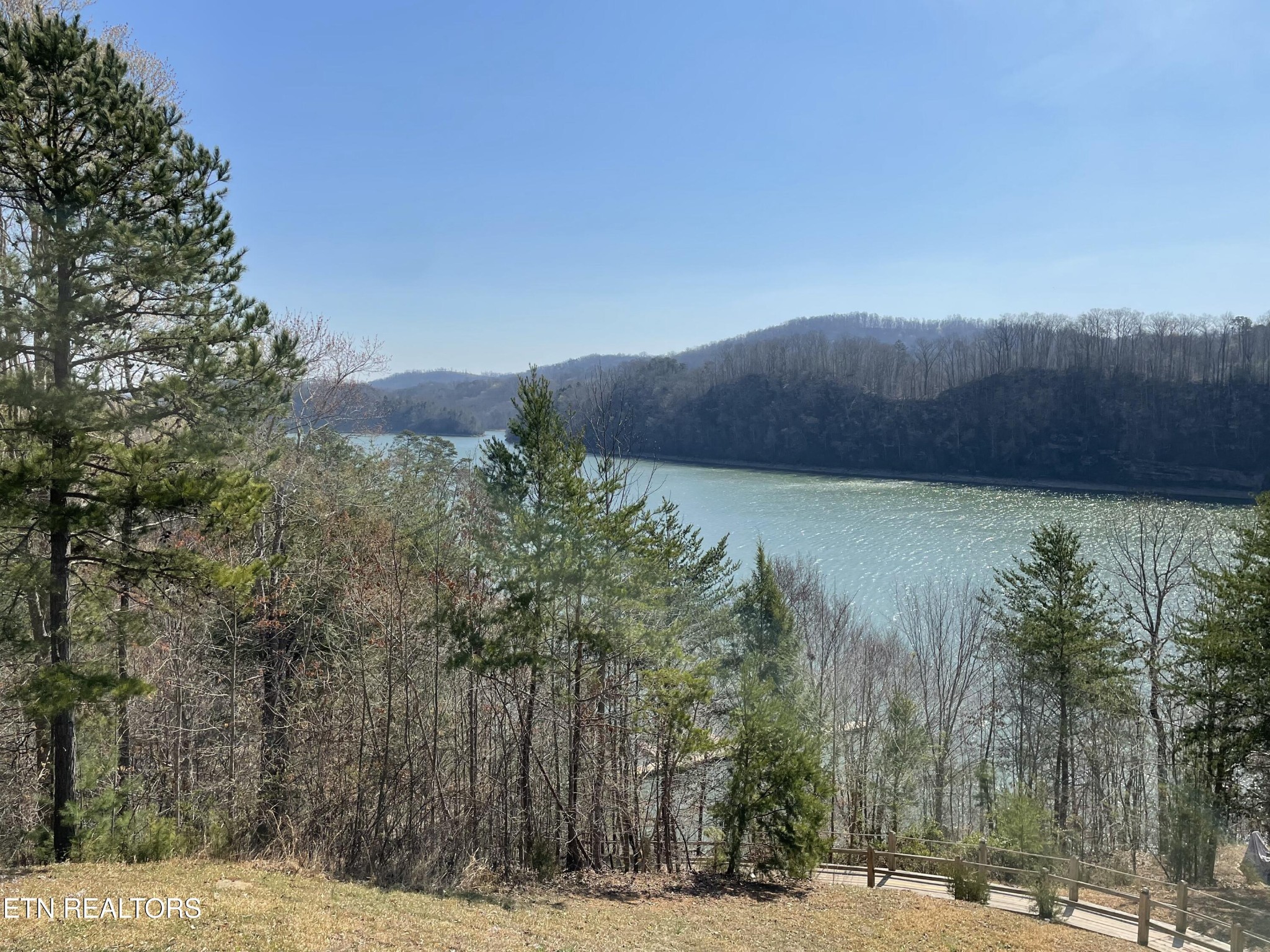 625 Bluff View Road New Tazewell, TN 37825 - Photo 44 of 57 a view of a backyard of a house