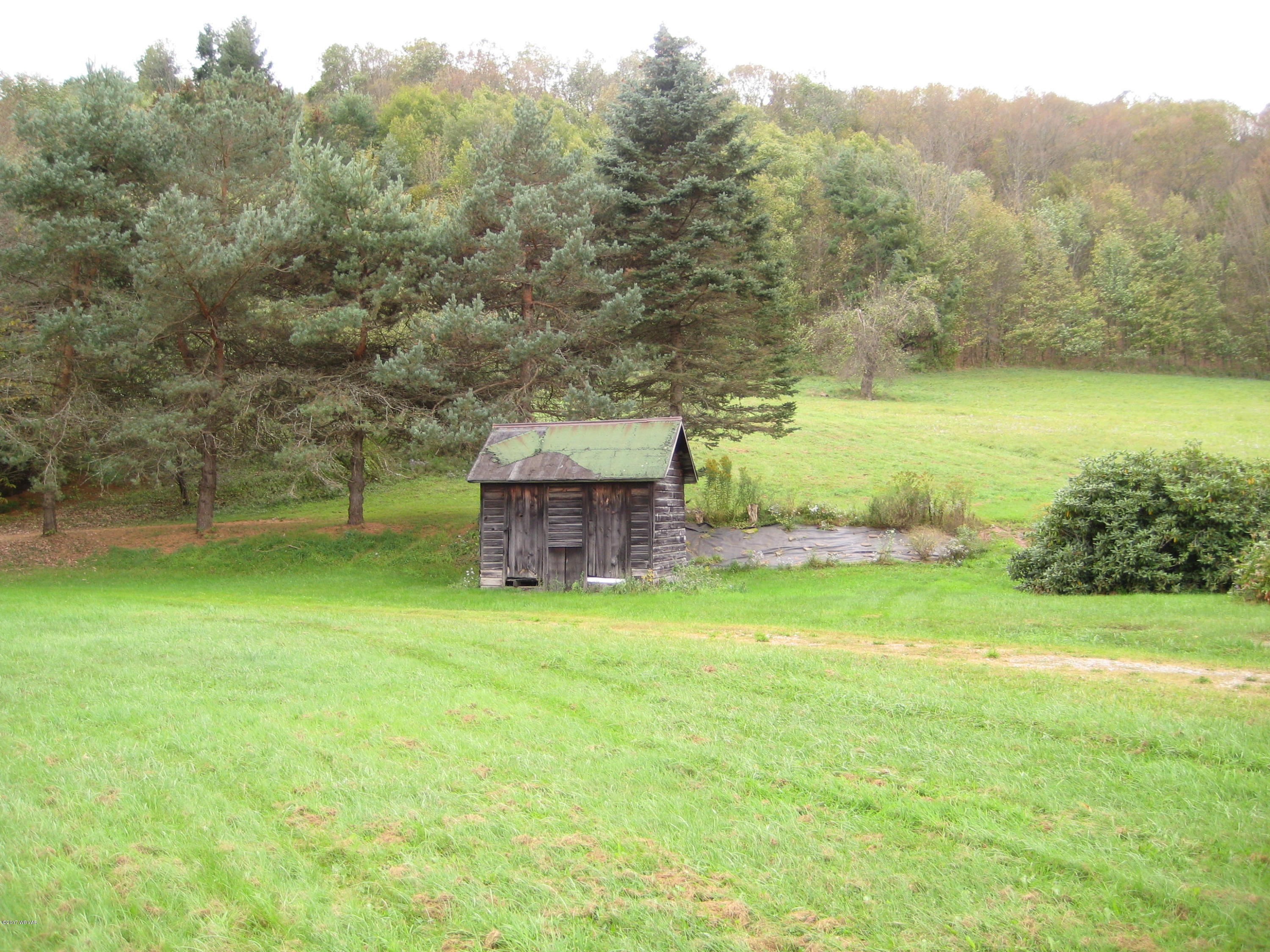 629 Litzelman Road Dushore, PA 18614 - Photo 6 of 43 IMG_1725