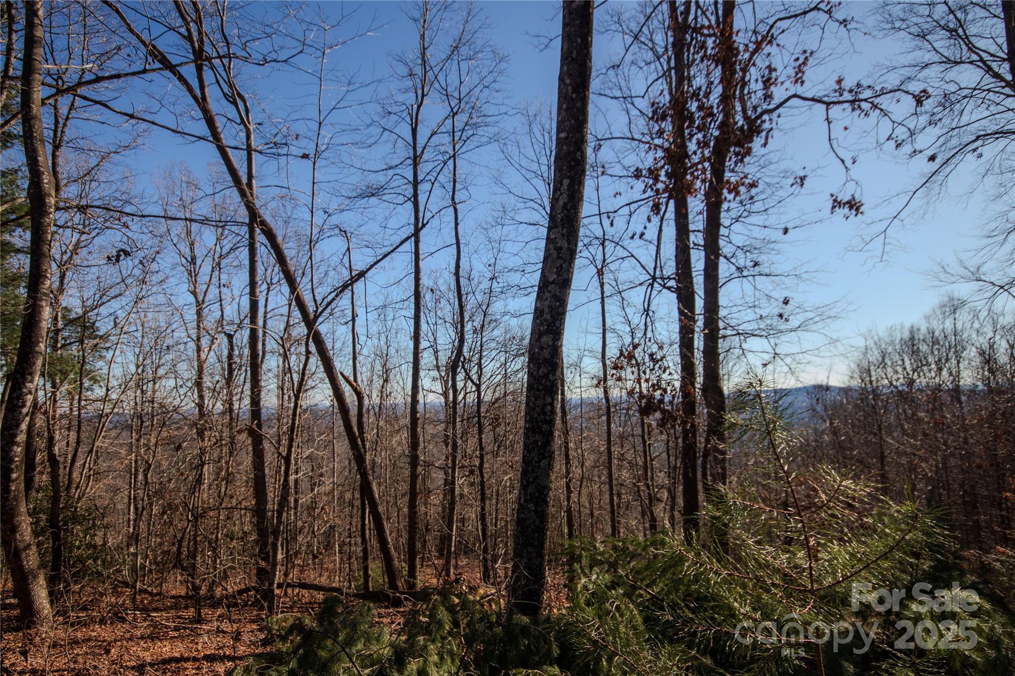 2209 Nighthawk Ridge Court, Unit 23 Lenoir, NC 28645 - Photo 11 of 14 a view of a yard with lots of bushes