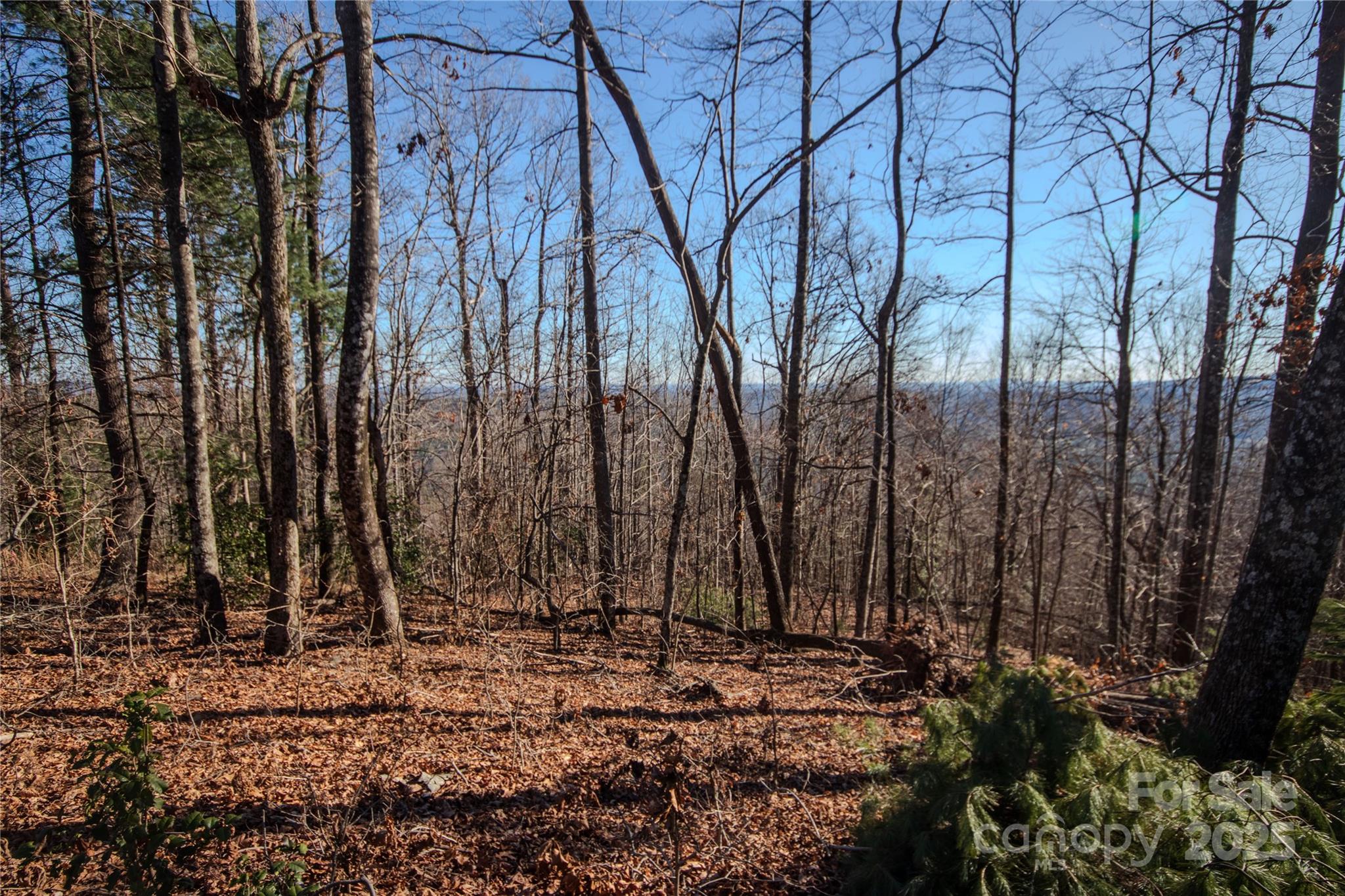2209 Nighthawk Ridge Court, Unit 23 Lenoir, NC 28645 - Photo 12 of 14 a view of a backyard with large trees