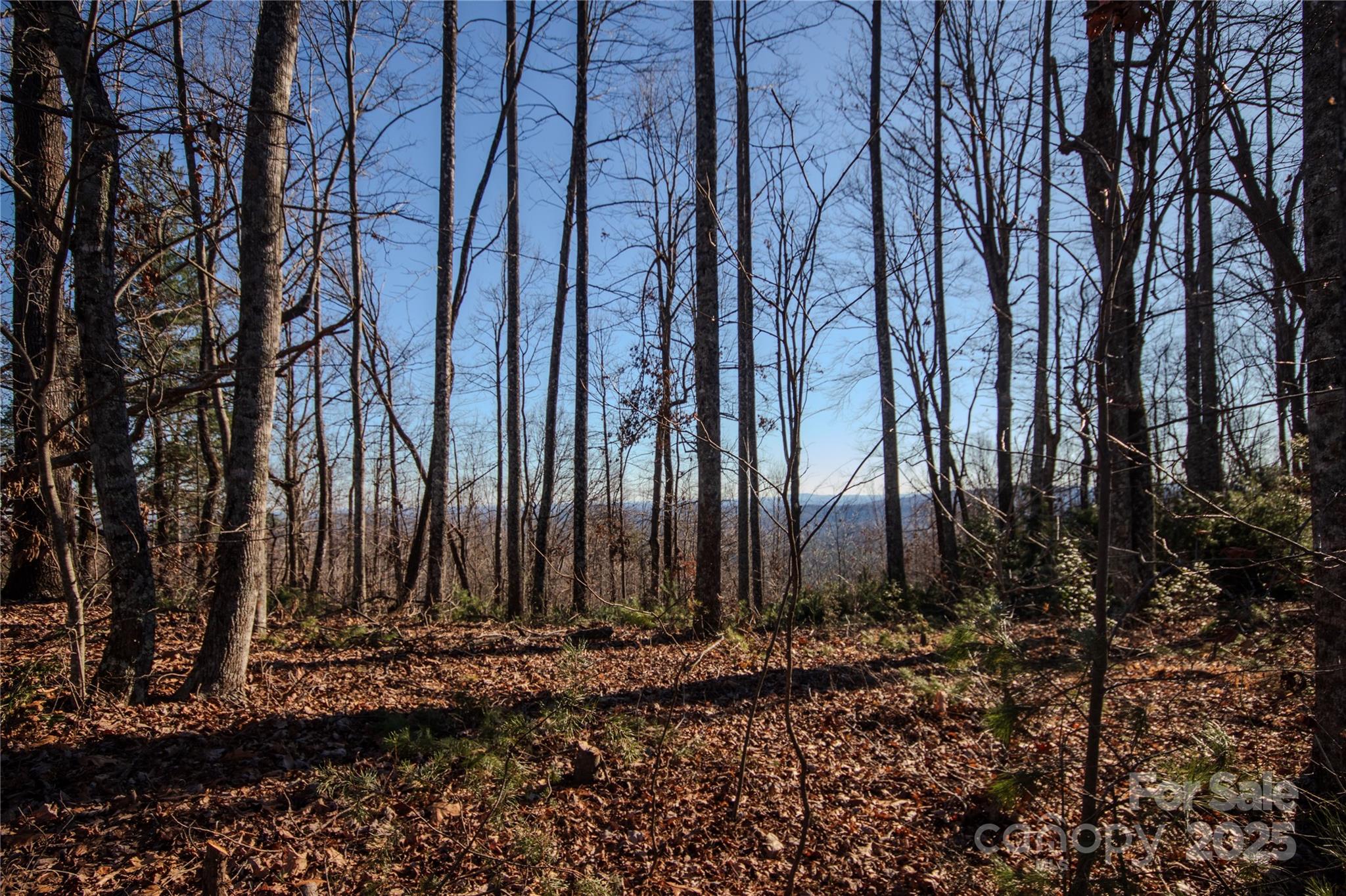 2209 Nighthawk Ridge Court, Unit 23 Lenoir, NC 28645 - Photo 14 of 14 a view of a backyard
