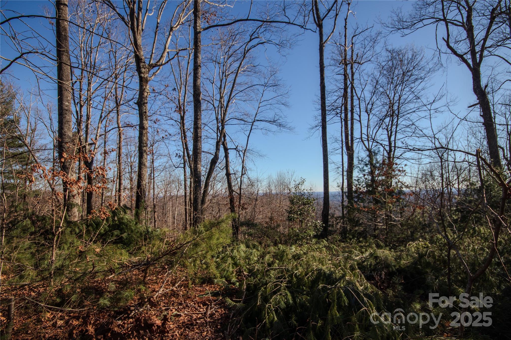 2209 Nighthawk Ridge Court, Unit 23 Lenoir, NC 28645 - Photo 4 of 14 a backyard of a building