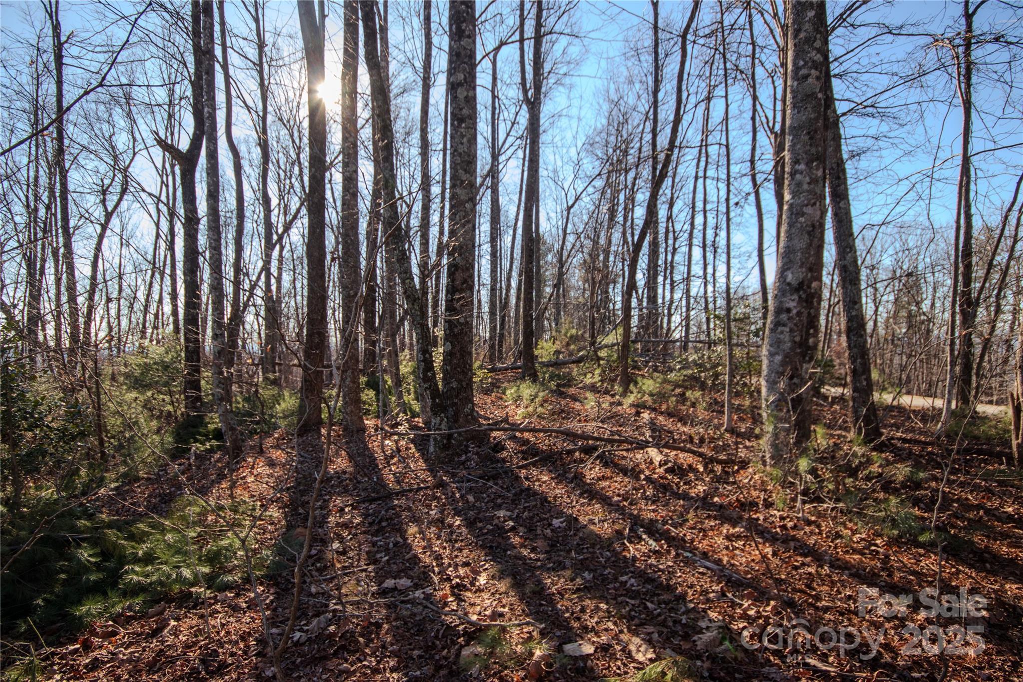 2209 Nighthawk Ridge Court, Unit 23 Lenoir, NC 28645 - Photo 5 of 14 a view of a backyard