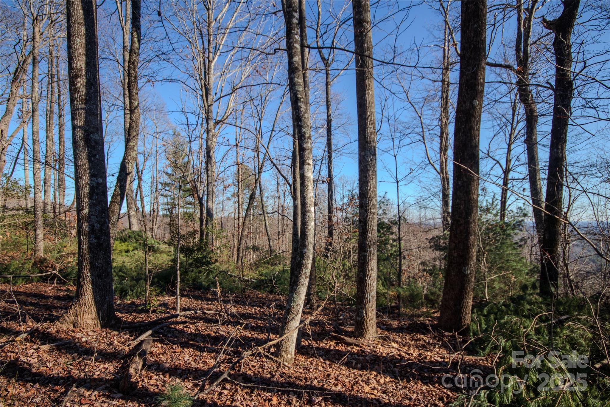 2209 Nighthawk Ridge Court, Unit 23 Lenoir, NC 28645 - Photo 6 of 14 a backyard of a house with lots of green space