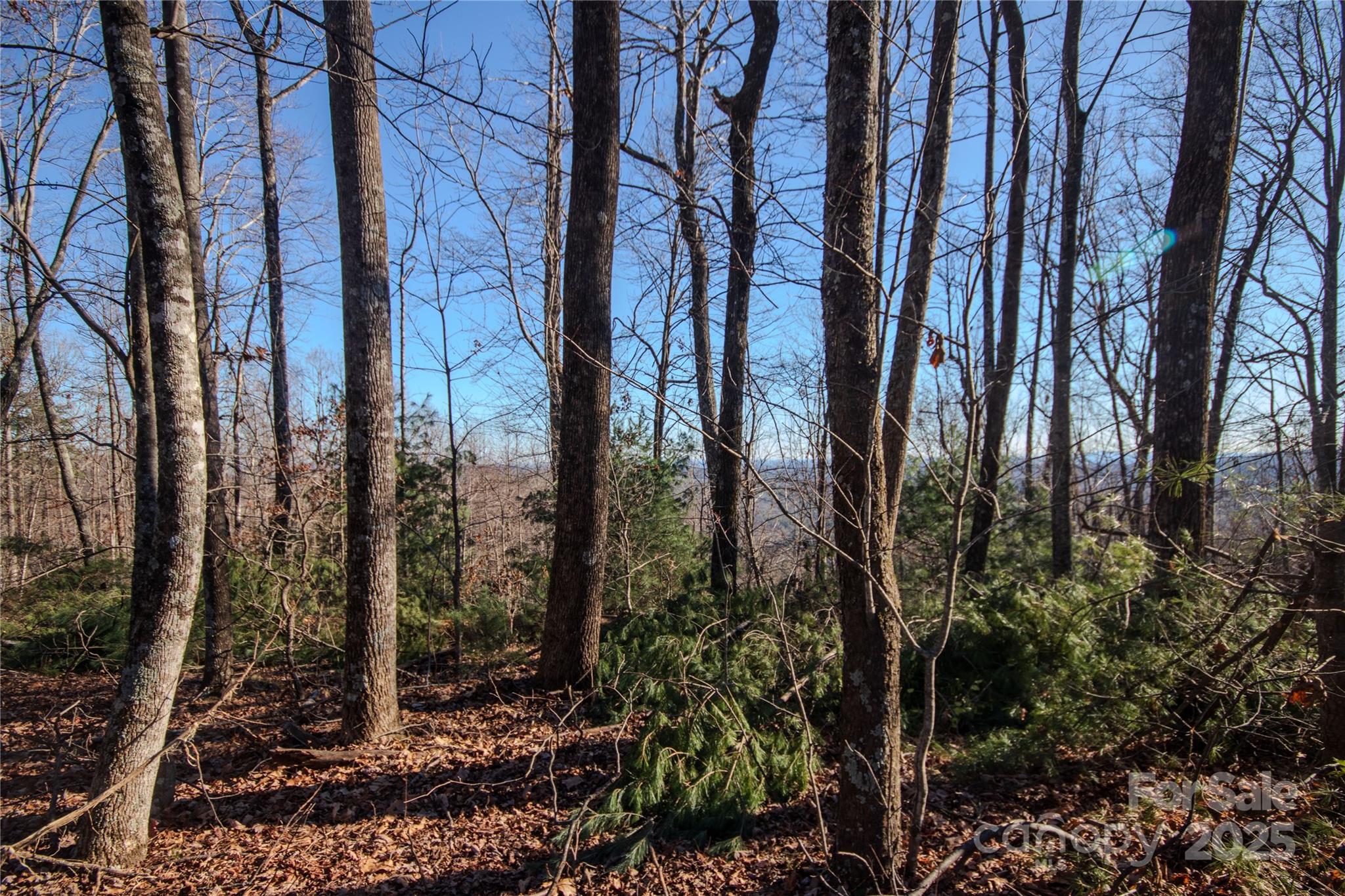 2209 Nighthawk Ridge Court, Unit 23 Lenoir, NC 28645 - Photo 7 of 14 a view of a forest