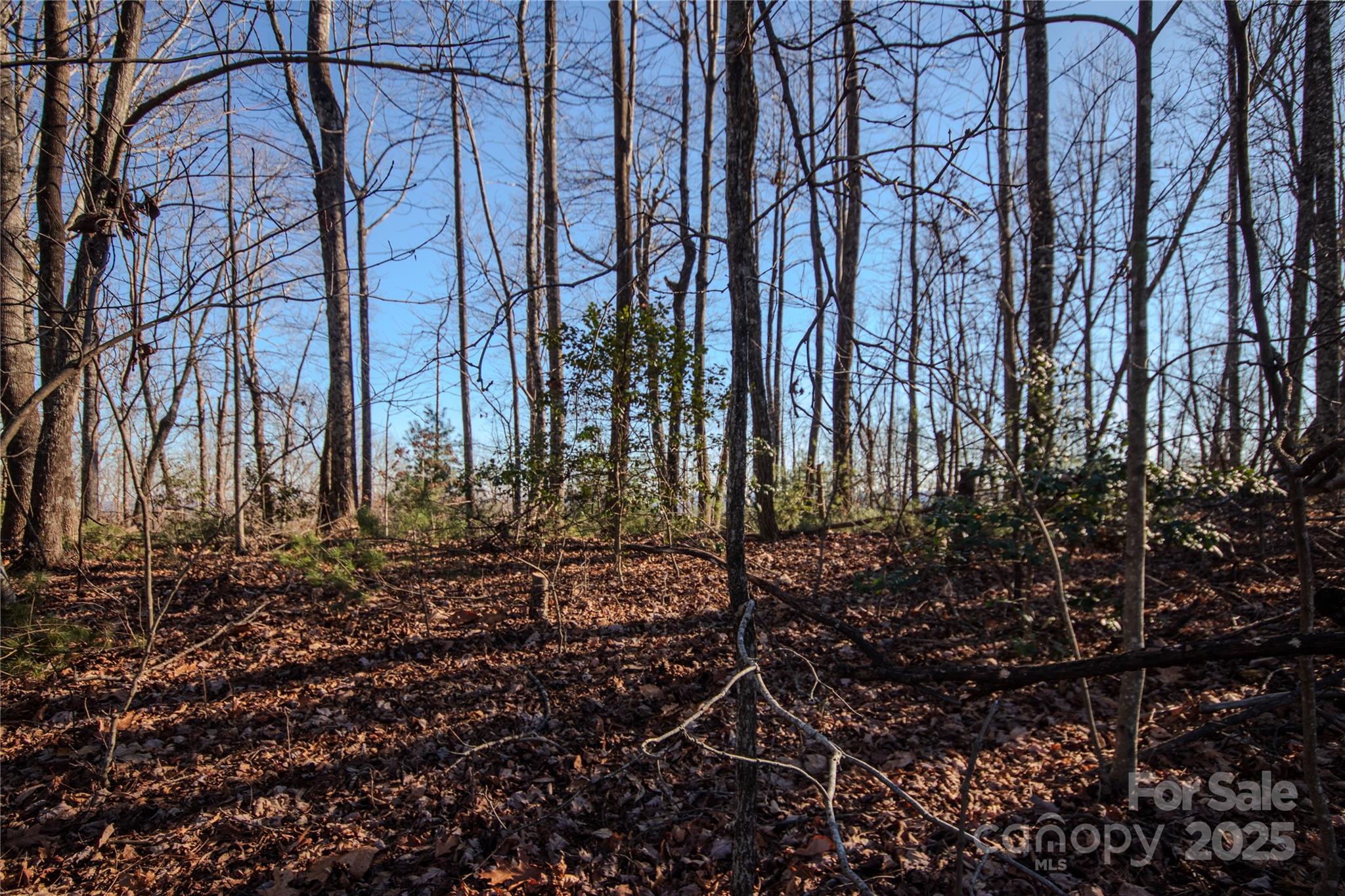 2209 Nighthawk Ridge Court, Unit 23 Lenoir, NC 28645 - Photo 9 of 14 a backyard of a house with lots of green space