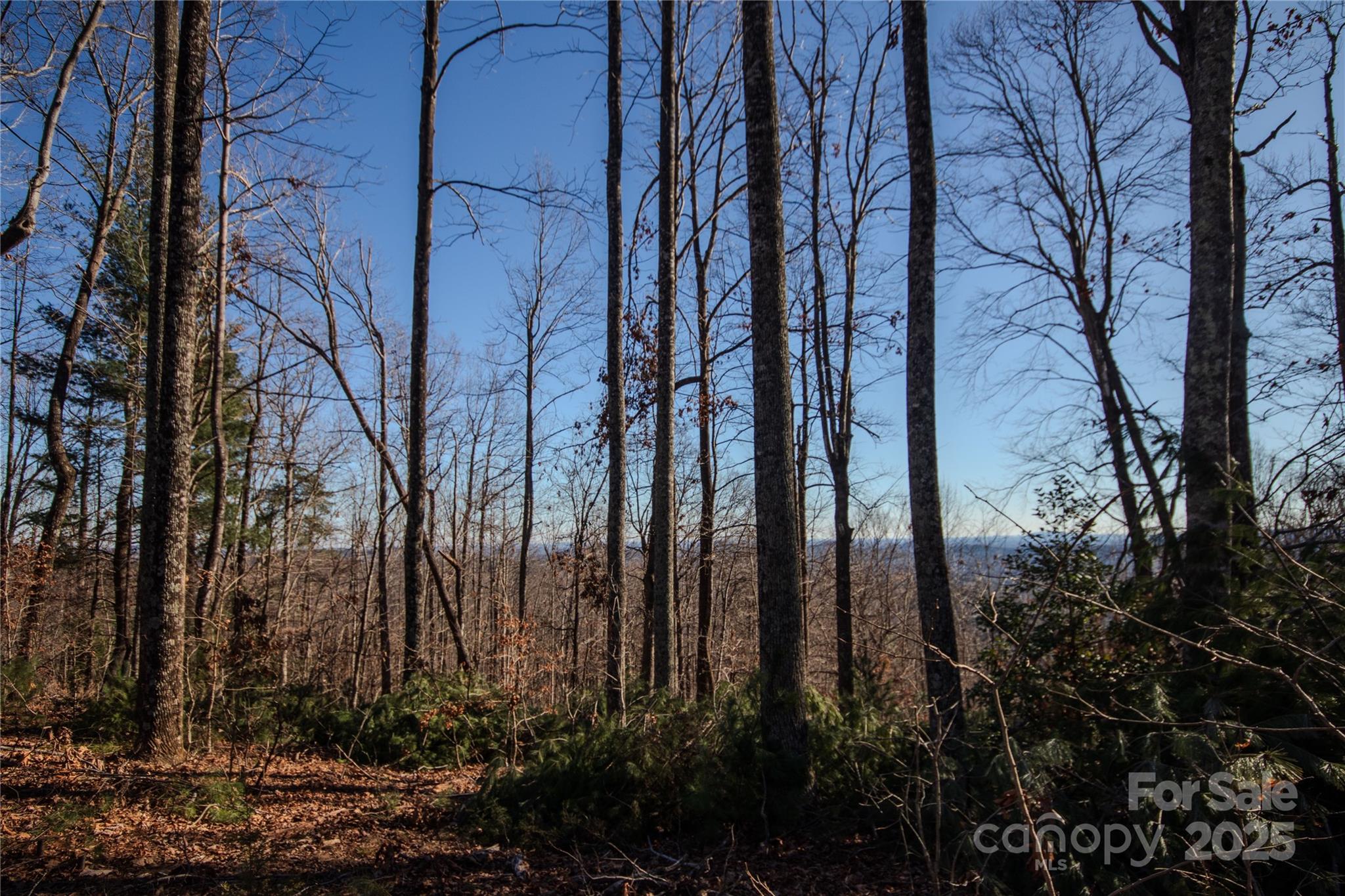 2209 Nighthawk Ridge Court, Unit 23 Lenoir, NC 28645 - Photo 10 of 14 a view of a backyard of the house