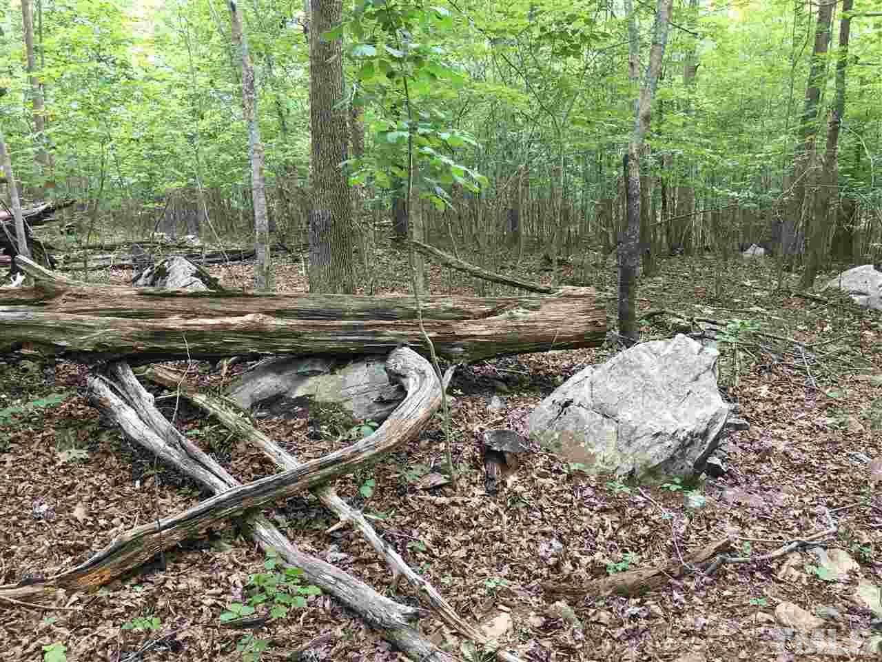 0 Ebenezer Church Road Durham, NC 27705 - Photo 6 of 18 Gallery Image 6