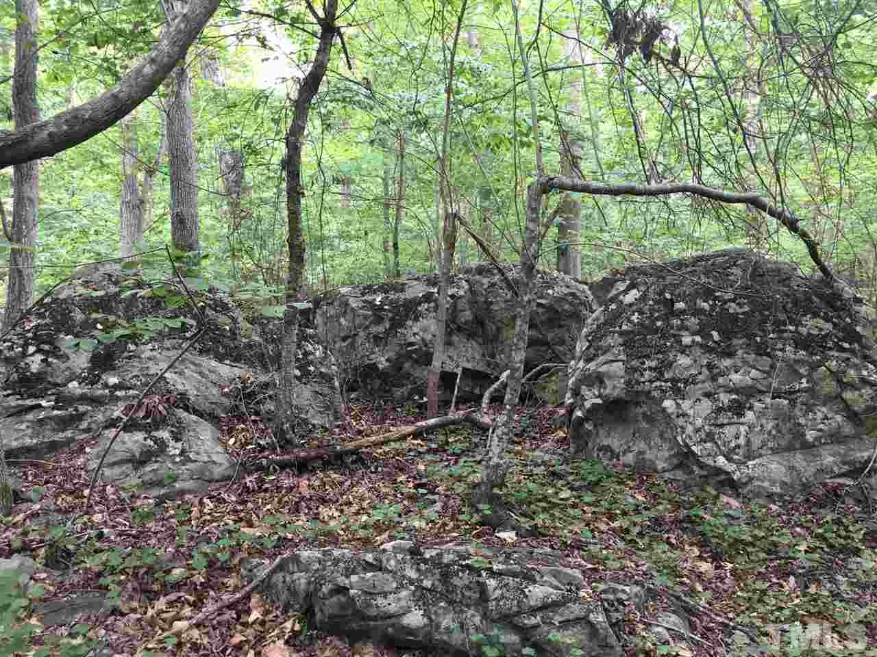 0 Ebenezer Church Road Durham, NC 27705 - Photo 7 of 18 Gallery Image 7